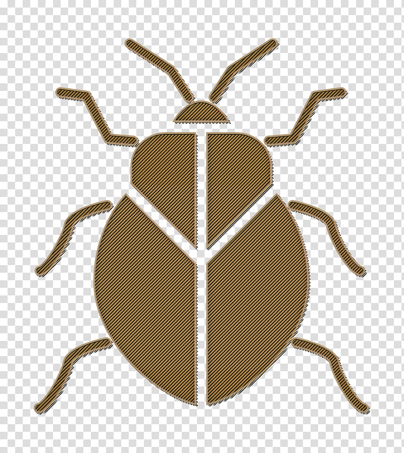 Bug icon Stink bug icon Insects icon, Beetle, Weevil, Pest, Ground Beetle, Leaf Footed Bugs, Blister Beetles, Leaf Beetle transparent background PNG clipart