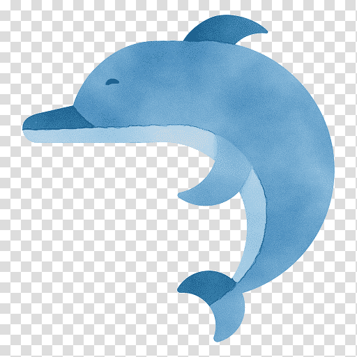 dolphin cetaceans porpoises whales bottlenose dolphin, Watercolor, Paint, Wet Ink, Biology transparent background PNG clipart