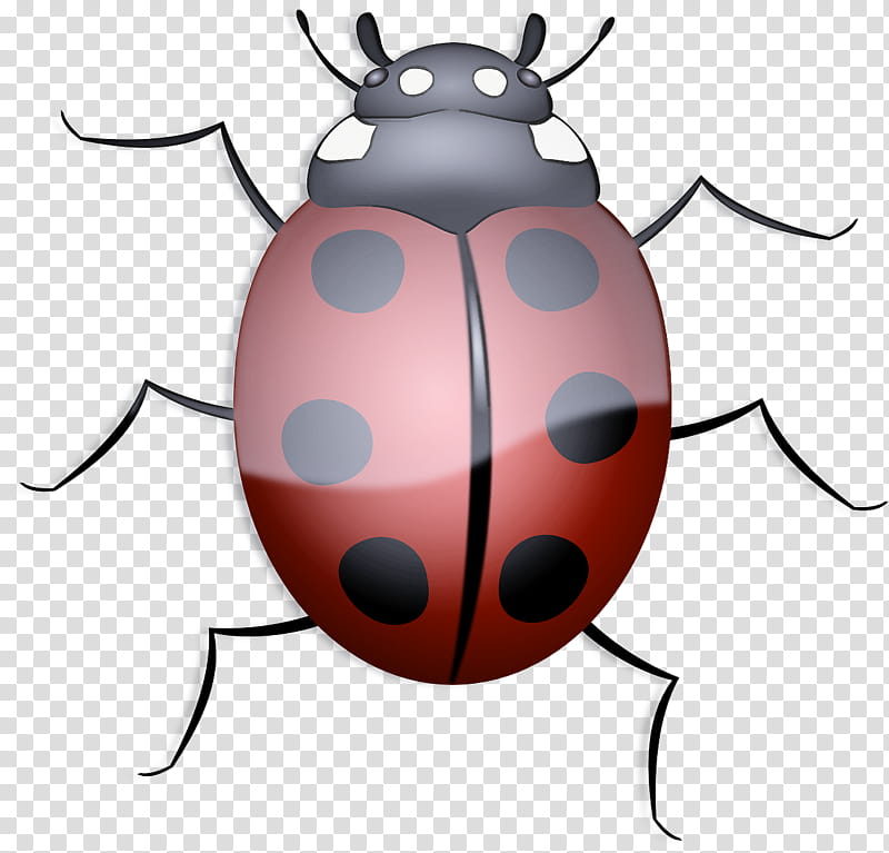 Ladybug, Insect, Beetle, Cartoon, Blister Beetles, Pest, Darkling Beetles transparent background PNG clipart