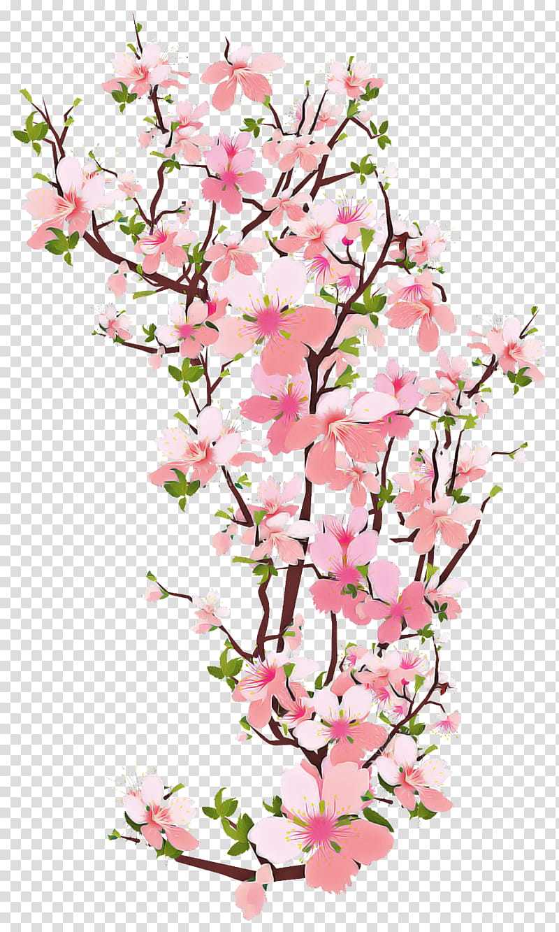 Cherry blossom, Flower, Plant, Pink, Branch, Cut Flowers, Spring
, Petal transparent background PNG clipart