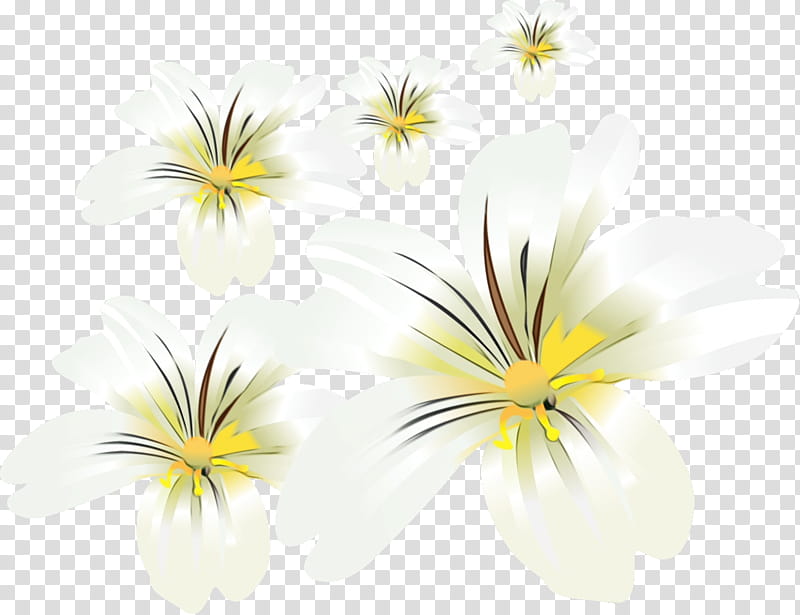 cut flowers petal yellow flower, Lily Flower, Watercolor, Paint, Wet Ink transparent background PNG clipart