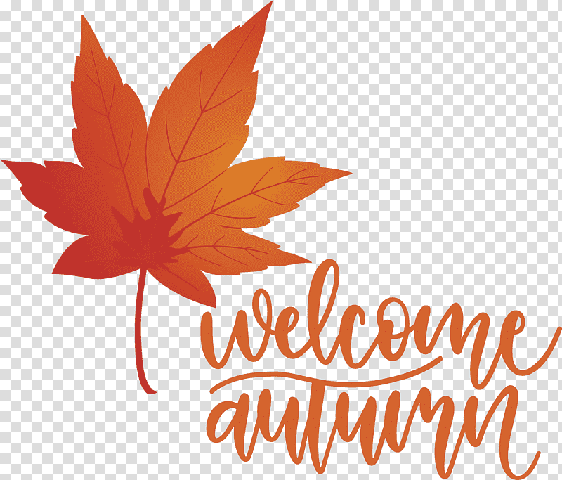 Welcome Autumn Autumn, Leaf, Maple Leaf, Flower, Logo, Tree, Meter transparent background PNG clipart