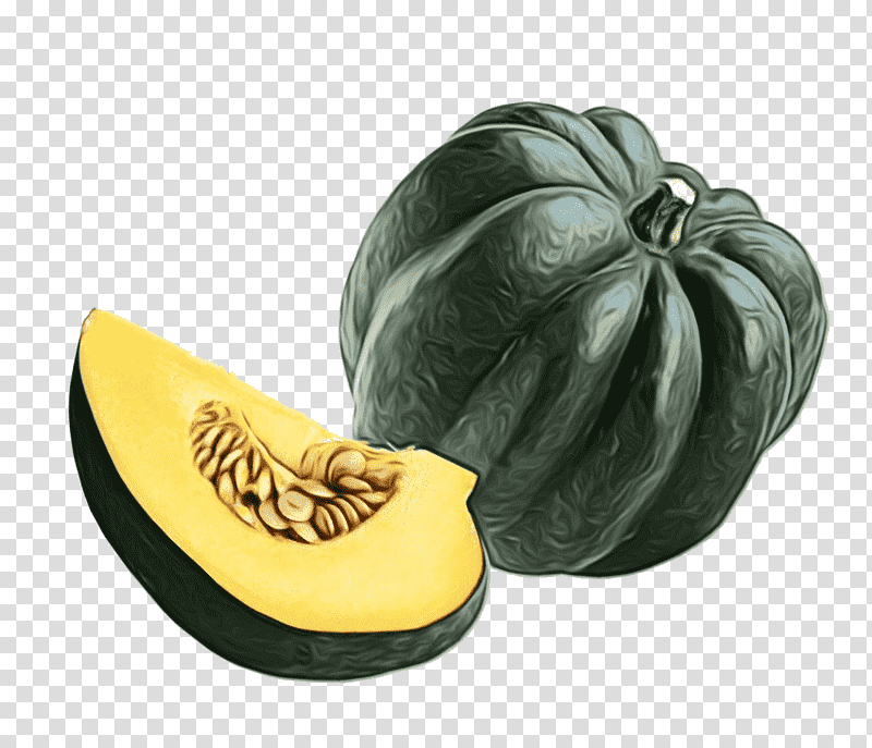 squash winter squash fruit melon, Watercolor, Paint, Wet Ink transparent background PNG clipart