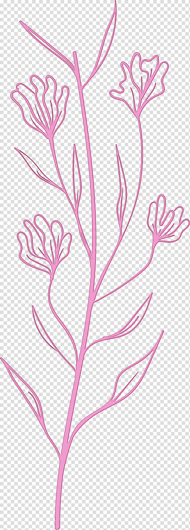 Floral design, Simple Leaf, Simple Leaf Drawing, Simple Leaf Outline, Watercolor, Paint, Wet Ink, Plant Stem transparent background PNG clipart