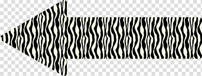 Cute Arrow, Line, Fur, Zebra transparent background PNG clipart