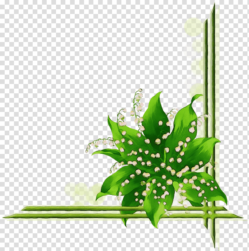 flower plant stem aquarium decor leaf green, Watercolor, Paint, Wet Ink, Tree, March 8, Greeting Card transparent background PNG clipart