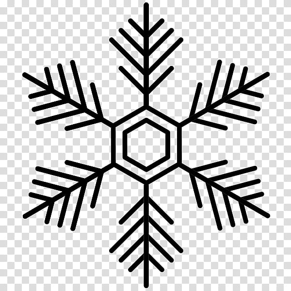 Snowflake, Line, Symmetry, Tree, Leaf, Line Art, Plant, Symbol transparent background PNG clipart