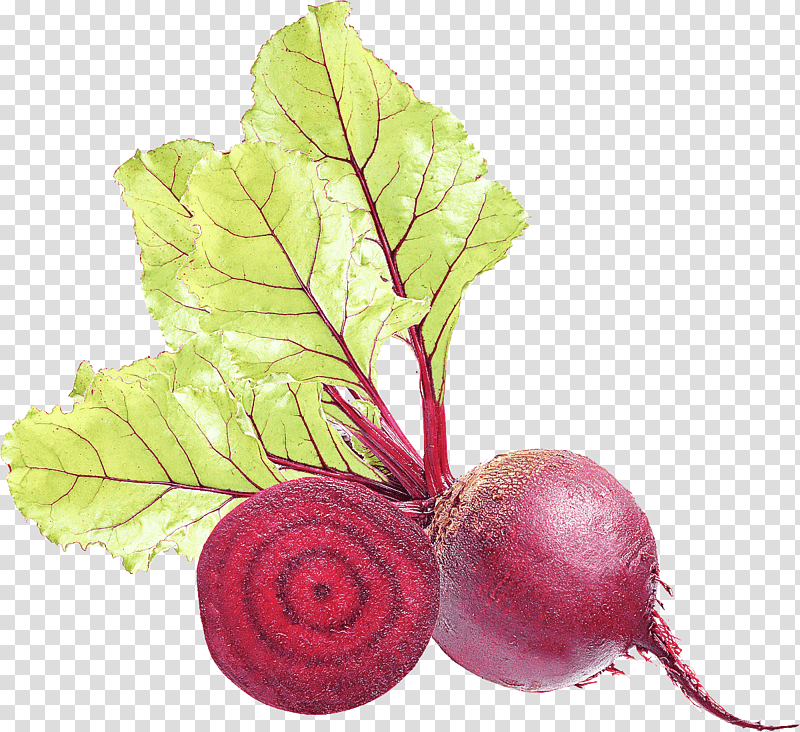 beetroot juice turnip leaf vegetable, Hindi, Youtubemp3, Chard, Natural Food, Punjabi Language transparent background PNG clipart