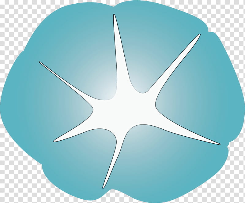 Morning Glory Flower, Aqua, Blue, Turquoise, Circle, Logo transparent background PNG clipart