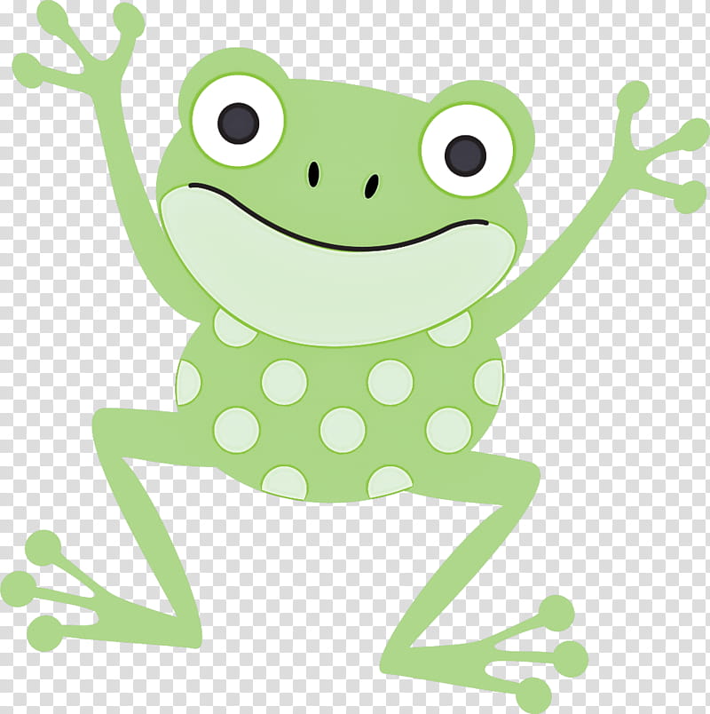 tree frog true frog frogs amphibians edible frog, Toad, Australian Green Tree Frog, Redeyed Tree Frog, American Green Tree Frog, American Bullfrog, African Dwarf Frog transparent background PNG clipart