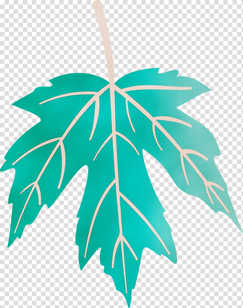 leaf plant stem symmetry tree plants, Autumn Leaf, Colourful Foliage, Colorful Leaves, COLORFUL LEAF, Watercolor, Paint, Wet Ink transparent background PNG clipart