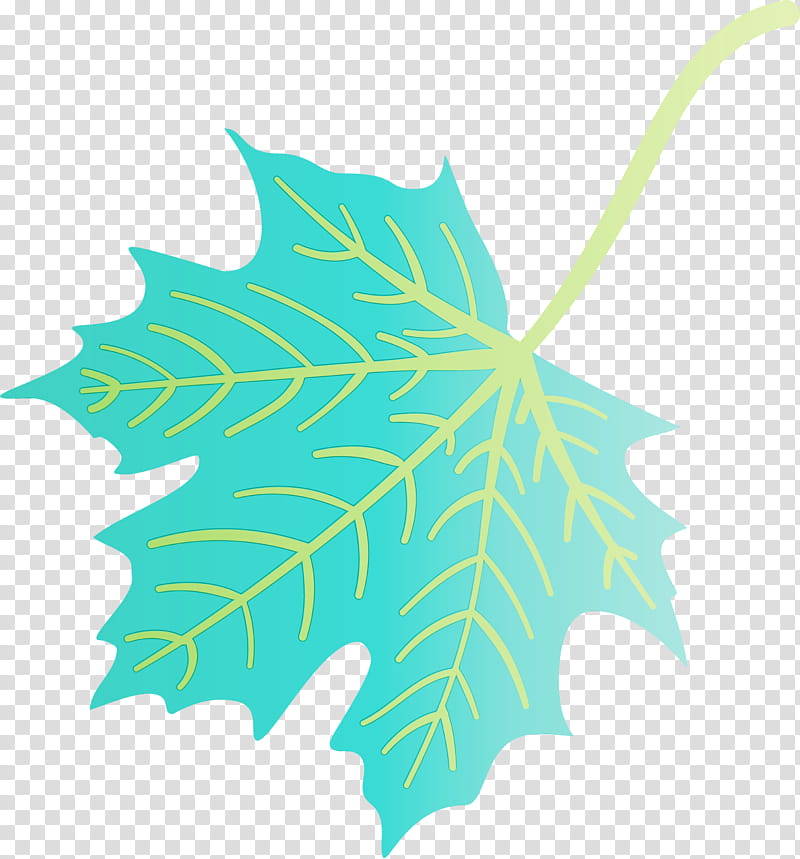 plant stem leaf green line plants, Autumn Leaf, Colourful Foliage, Colorful Leaves, COLORFUL LEAF, Watercolor, Paint, Wet Ink transparent background PNG clipart