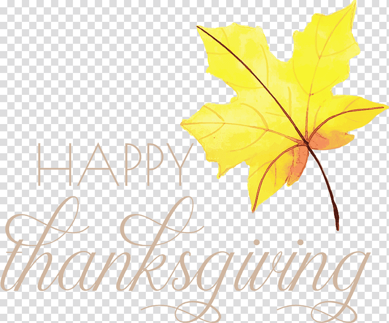 leaf flower maple leaf / m tree yellow, Happy Thanksgiving , Watercolor, Paint, Wet Ink, Maple Leaf M, Meter transparent background PNG clipart