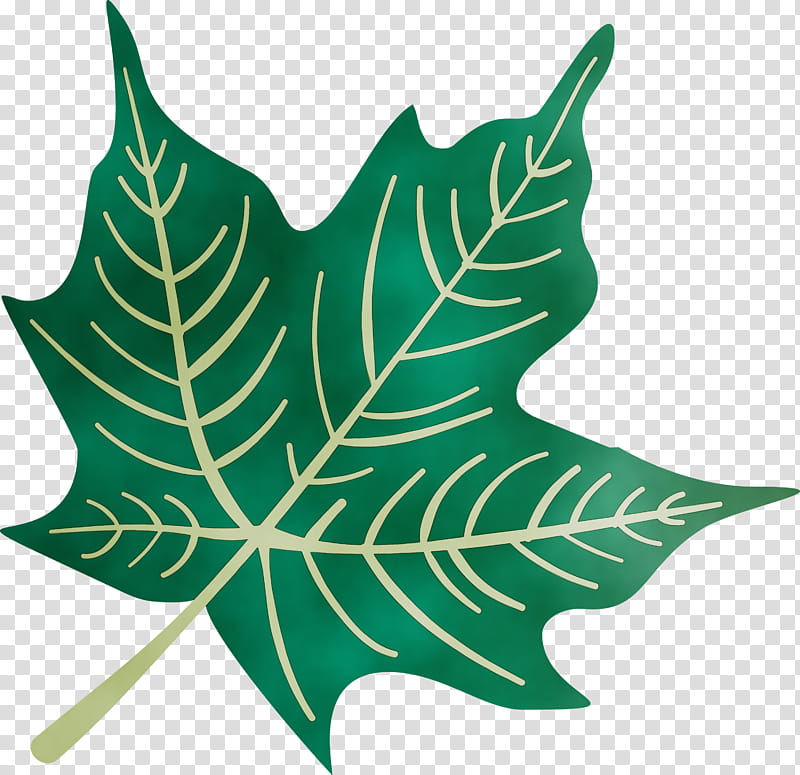 plant stem leaf m-tree tree plants, Autumn Leaf, Colourful Foliage, Colorful Leaves, COLORFUL LEAF, Watercolor, Paint, Wet Ink transparent background PNG clipart