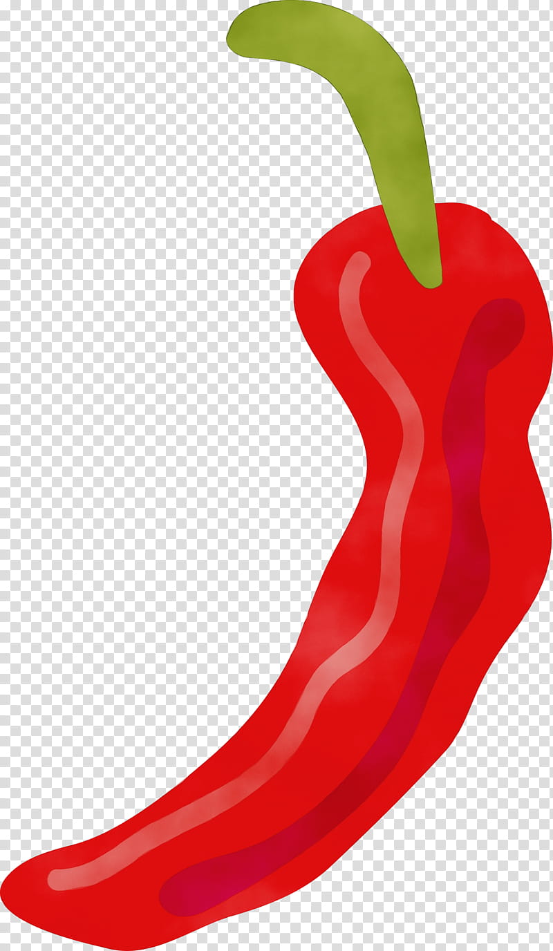 tabasco pepper cayenne pepper malagueta pepper peppers paprika, Spanish Food, Spanish Cuisine, Watercolor, Paint, Wet Ink, Pimiento, Bell Pepper transparent background PNG clipart