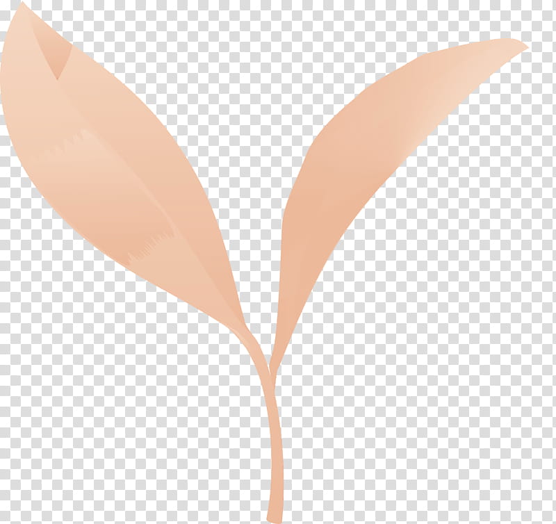 leaf plant flower peach anthurium, Tea Leaves, Spring
, Watercolor, Paint, Wet Ink transparent background PNG clipart
