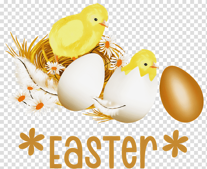 Easter Chicken Ducklings Easter Day Happy Easter, Royaltyfree, Cartoon transparent background PNG clipart