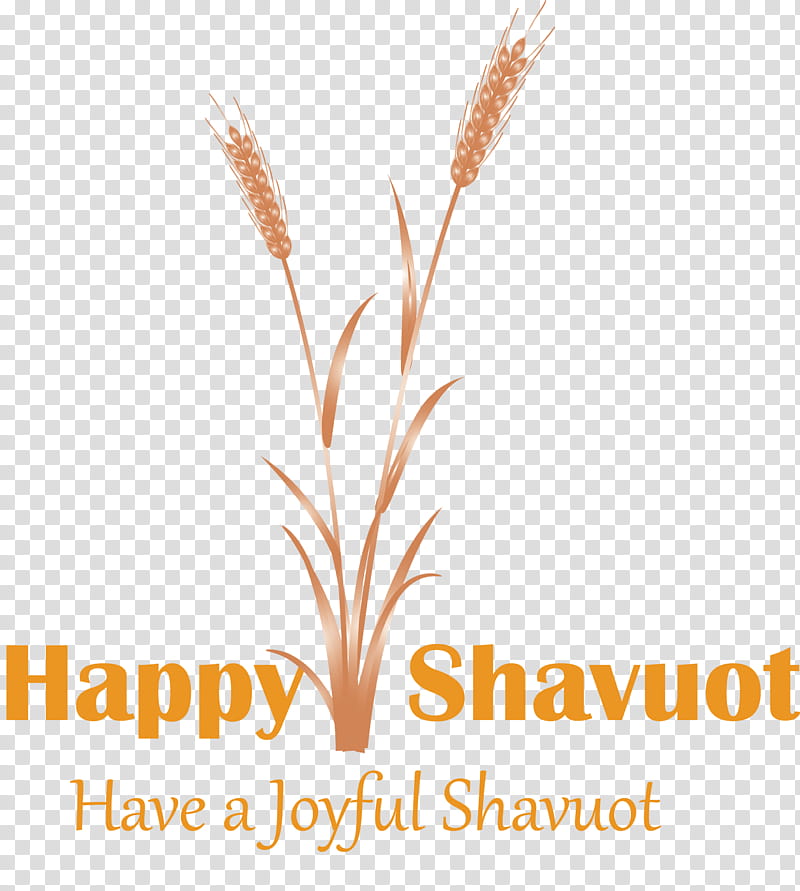 Happy Shavuot Shavuot Shovuos, Text, Grass Family, Plant, Line, Logo transparent background PNG clipart