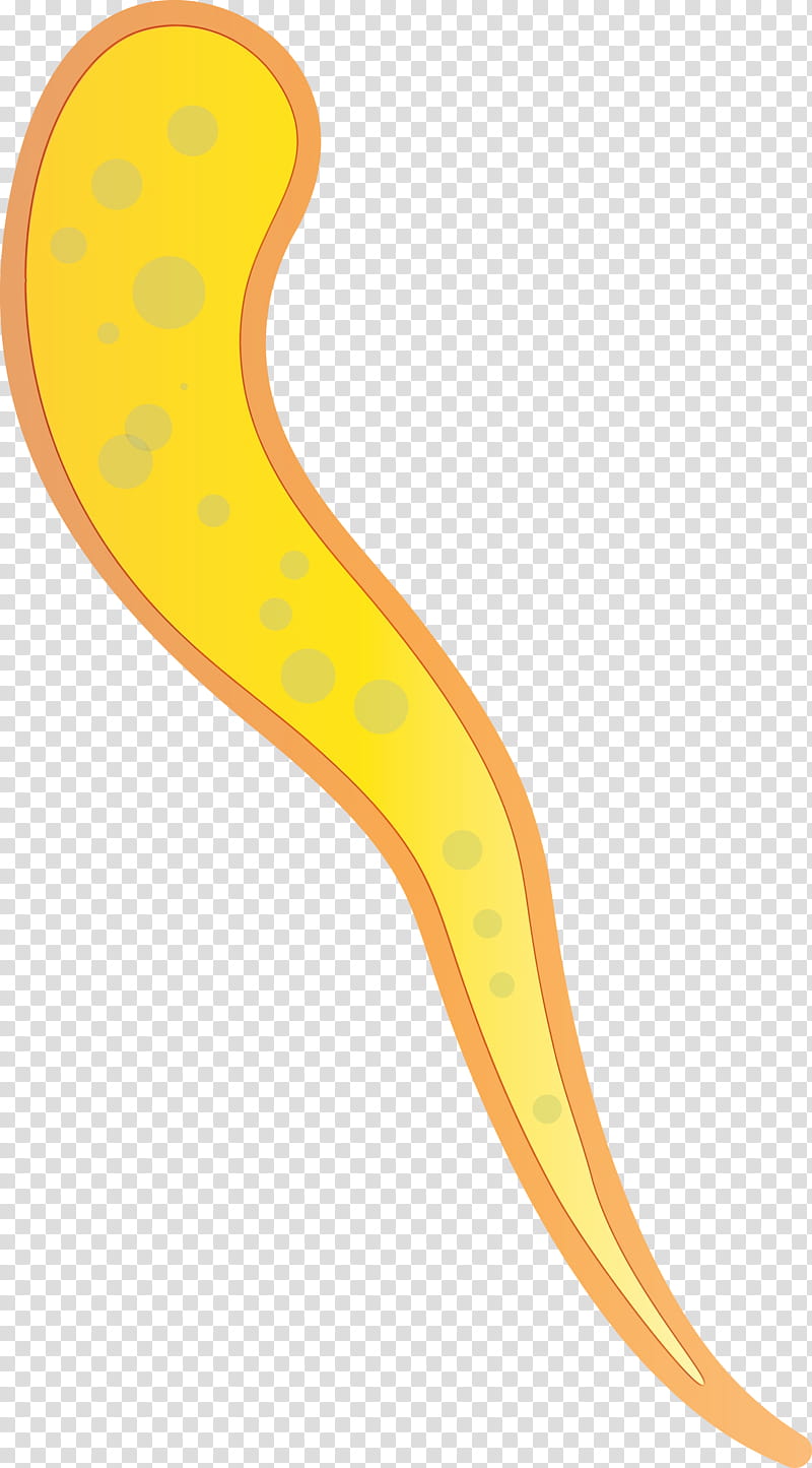 yellow flatworm, Virus, Watercolor, Paint, Wet Ink transparent background PNG clipart