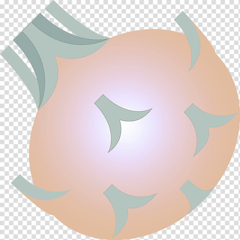 Kohlrabi, Aqua, Circle, Logo transparent background PNG clipart