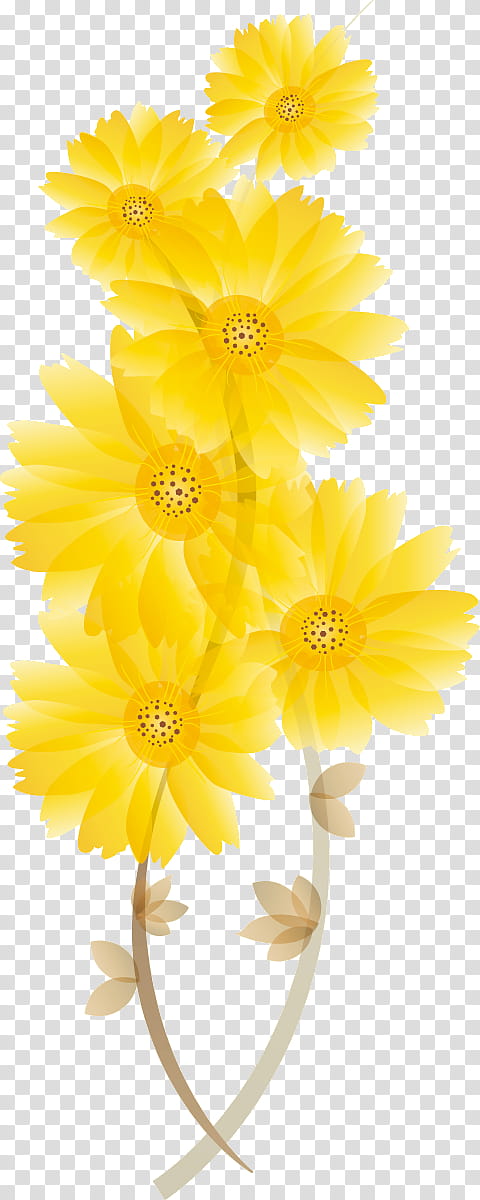 Chrysanthemum chrysanths, Dahlia, Cut Flowers, Floral Design, Yellow, Petal, Sunflower transparent background PNG clipart