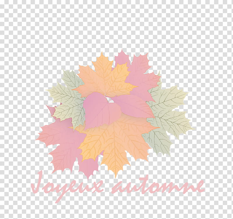 Hello Autumn Welcome Autumn Hello Fall, Welcome Fall, Leaf, Maple Leaf, Red Maple, Ornamental Plant, Autumn Leaf Color, Flower transparent background PNG clipart