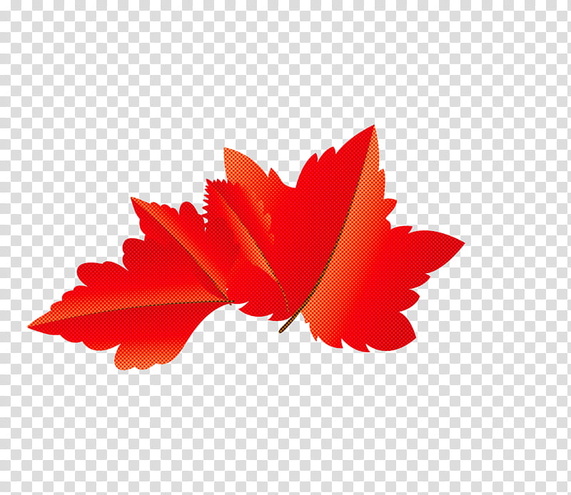 Maple leaf, Autumn Leaf, Fall Leaf, Cartoon Leaf, Petal, Tree, Fern, Plant Structure transparent background PNG clipart