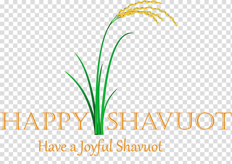 Happy Shavuot Shavuot Shovuos, Logo, Text, Grass, Grass Family, Leaf, Plant, Line transparent background PNG clipart