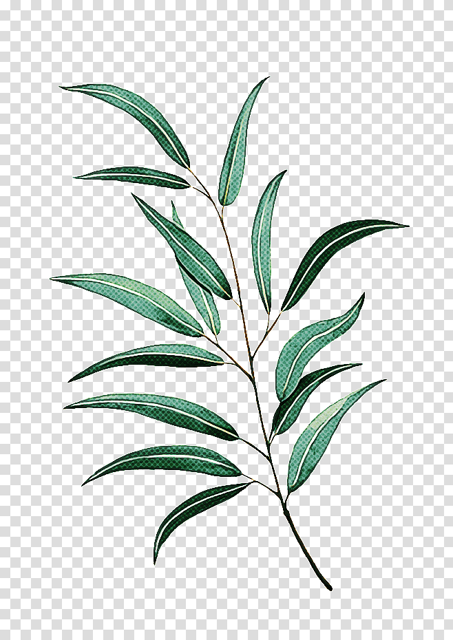 twice leaf drop shipping, Got7, Grasses, Kpop, Plant Stem, Wholesale, Discounts And Allowances transparent background PNG clipart