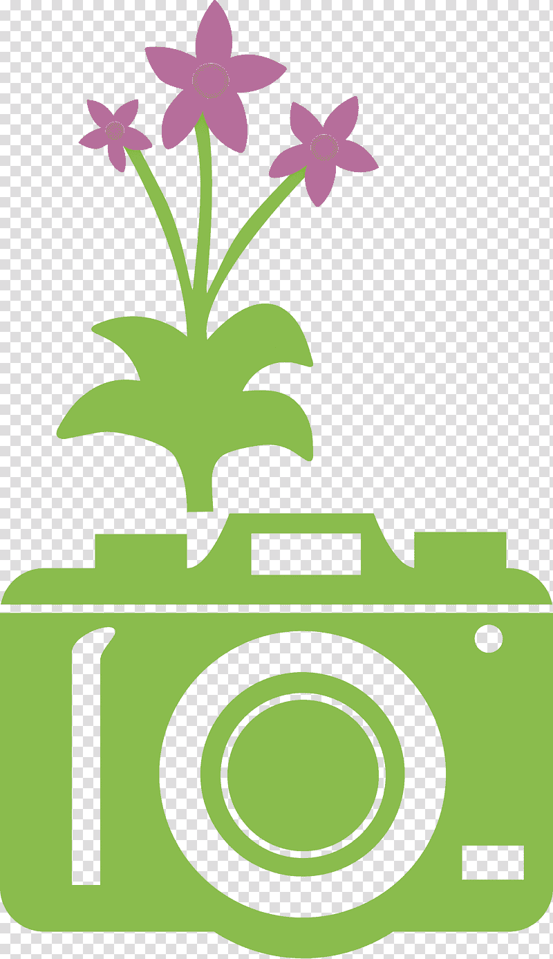 camera flower, Los Realejos, Leaf, Floral Design, Petal, Logo, Plant transparent background PNG clipart