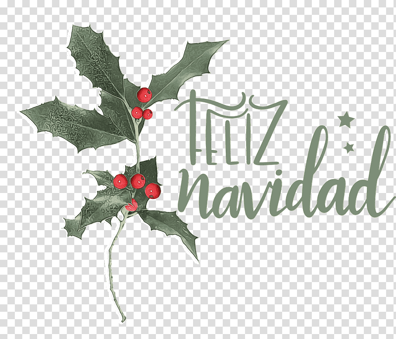 Holly, Feliz Navidad, Merry Christmas, Watercolor, Paint, Wet Ink, Leaf transparent background PNG clipart