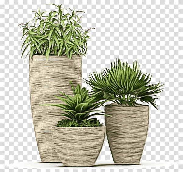 flowerpot grasses houseplant herb evergreen marine corp., Watercolor, Paint, Wet Ink transparent background PNG clipart