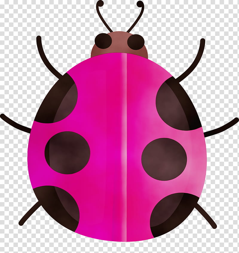 pink insect magenta beetle pest, Watercolor Ladybug, Paint, Wet Ink, Jewel Bugs transparent background PNG clipart