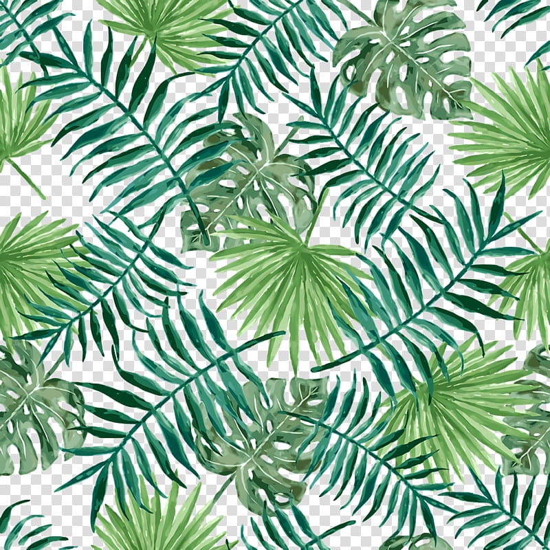 pine leaf evergreen green pattern, Line, Flower, Plants, Science, Biology, Plant Structure transparent background PNG clipart