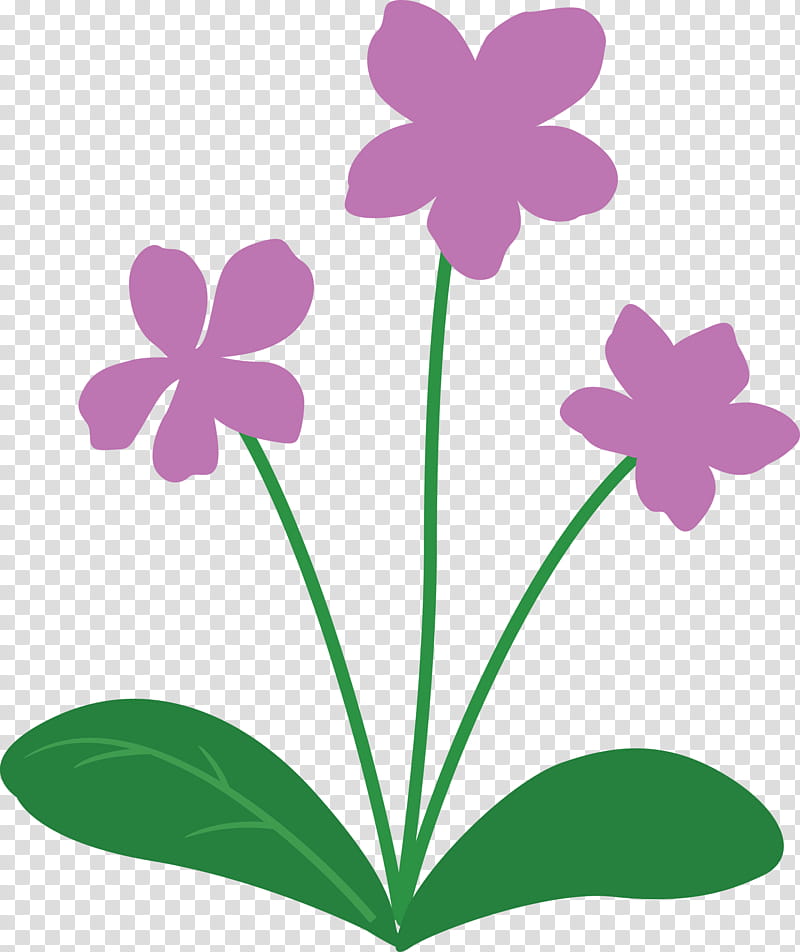 violet flower, Plant Stem, Leaf, Herbaceous Plant, Petal, Flora, Family, Violaceae transparent background PNG clipart