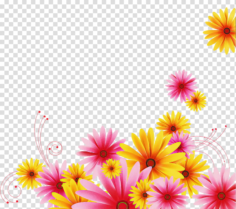 Gerbera daisy marguerite, Flower, Floral Design, Chrysanthemum, Cut Flowers, Transvaal Daisy, Petal, Pink transparent background PNG clipart