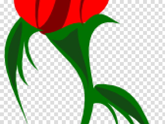 Lily Flower, Bud, Rose, Green, Rose Family, Leaf, Plant Stem, Red transparent background PNG clipart