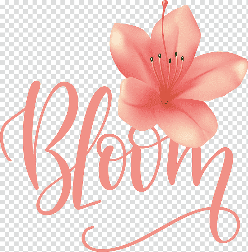 Bloom Spring, Spring
, Cut Flowers, Greeting Card, Valentines Day, Petal, Text transparent background PNG clipart