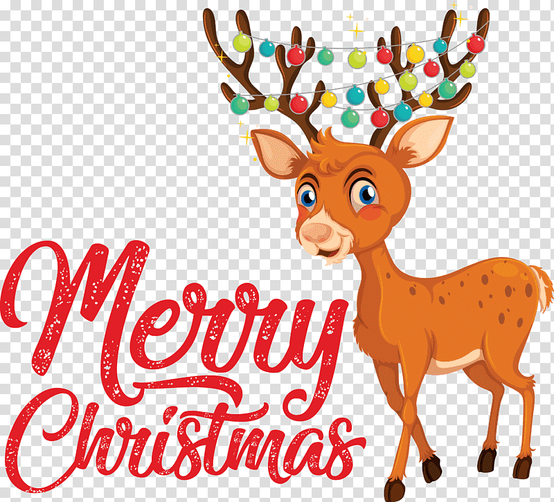 Merry Christmas, Reindeer, Cartoon, Snout, Text, Science, Biology transparent background PNG clipart