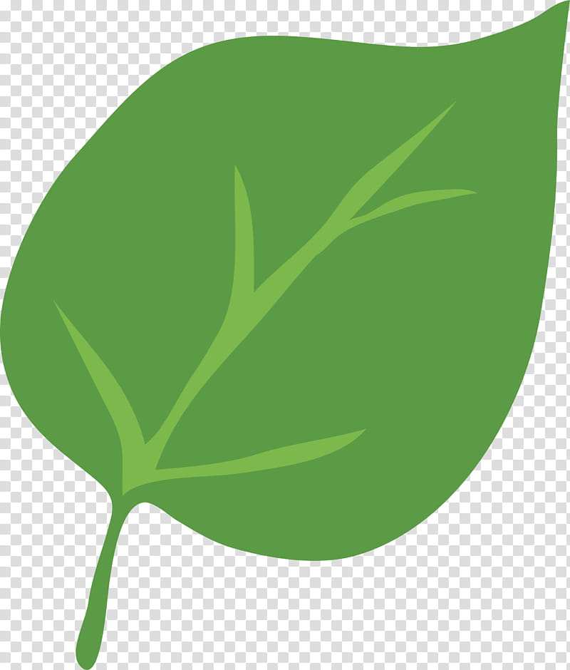 leaf plant stem funding subsidy, Adventure, Name, Great Scott, Email, Cost, Plants transparent background PNG clipart