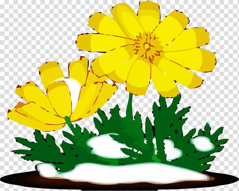 yellow flower leaf plant english marigold, Tagetes, Wildflower transparent background PNG clipart