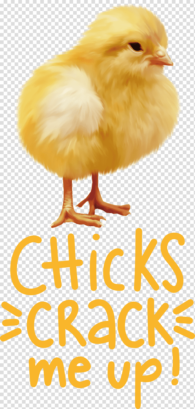 Chicks Crack Me Up Easter Day Happy Easter, Chicken, Landfowl, Poultry, Live, Yellow, Beak transparent background PNG clipart