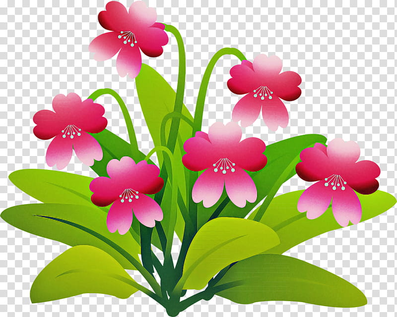 Artificial flower, Petal, Plant, Pink, Terrestrial Plant, Magenta, Cut Flowers, Impatiens transparent background PNG clipart