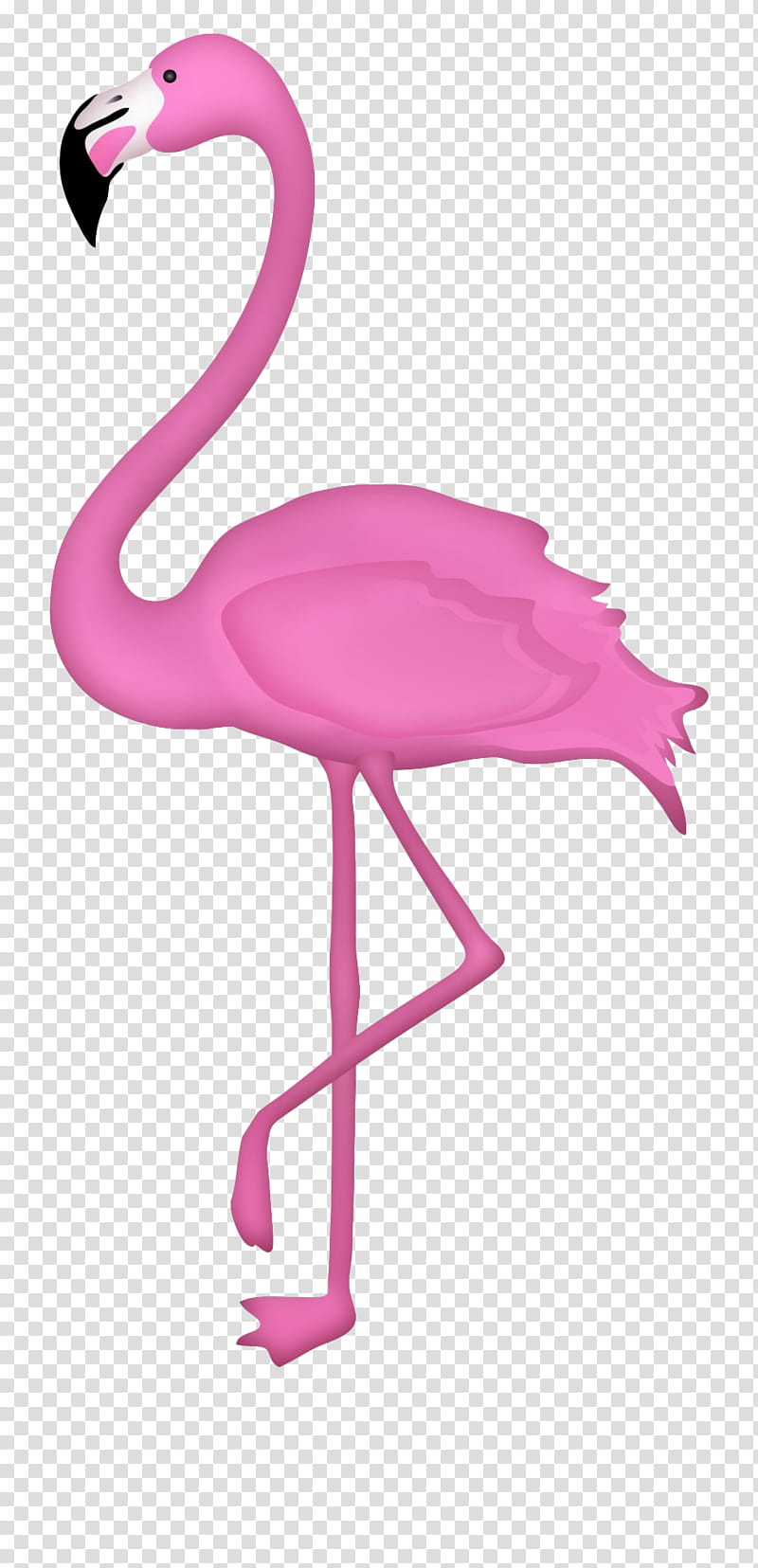Flamingo, Greater Flamingo, Bird, Pink, Water Bird, Furniture, Beak, Magenta transparent background PNG clipart