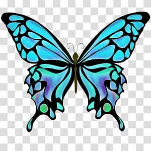 butterfly moths and butterflies insect wing papilio machaon, Pollinator, Swallowtail Butterfly, Brushfooted Butterfly, Symmetry, Sticker transparent background PNG clipart thumbnail