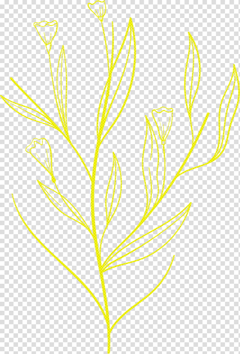 simple leaf simple leaf drawing simple leaf outline, Plant Stem, Grasses, Line Art, Twig, Commodity, Flower, Meter transparent background PNG clipart