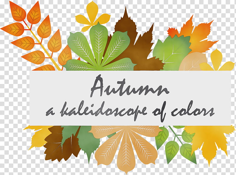 Maple leaf, Hello Autumn, Happy Fall, Autumn Background, Watercolor, Paint, Wet Ink, Flat Design transparent background PNG clipart