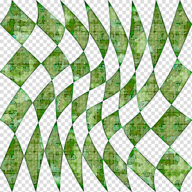 leaf symmetry pattern line green, Tree, Biology, Plants, Plant Structure, Mathematics, Science, Geometry transparent background PNG clipart