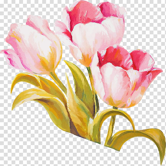 Flower bouquet, Tulip, Watercolor Painting, Rose, Floral Design, Cut Flowers, Yellow, Ribbon transparent background PNG clipart