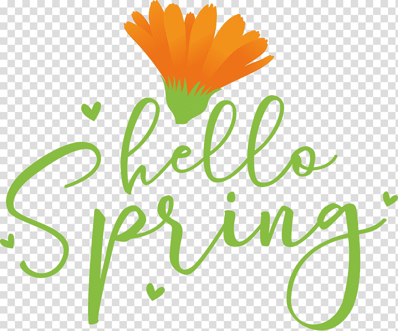 Hello Spring Spring, Spring
, Cut Flowers, Plant Stem, Daisy Family, Logo, Floral Design transparent background PNG clipart